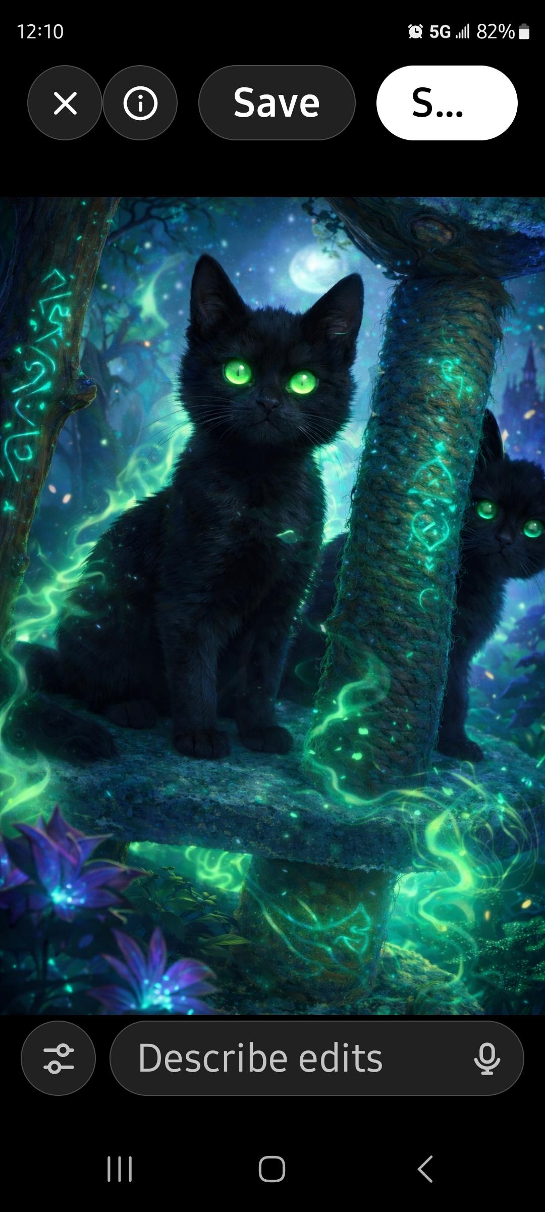 Enlarge NYX and NOX, an adopted Domestic Short Hair in Lebanon, TN image 3/3