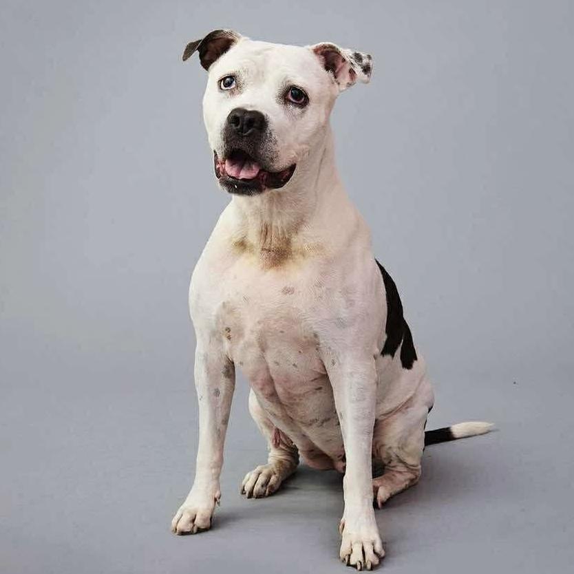 Lilly Claire thumbnail 2