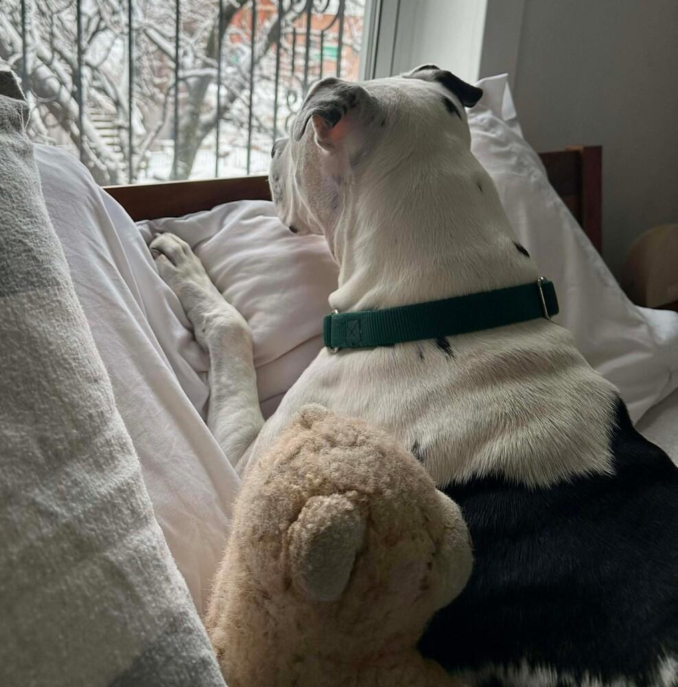 Lilly Claire thumbnail 3