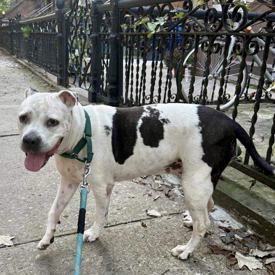 Lilly Claire thumbnail 6