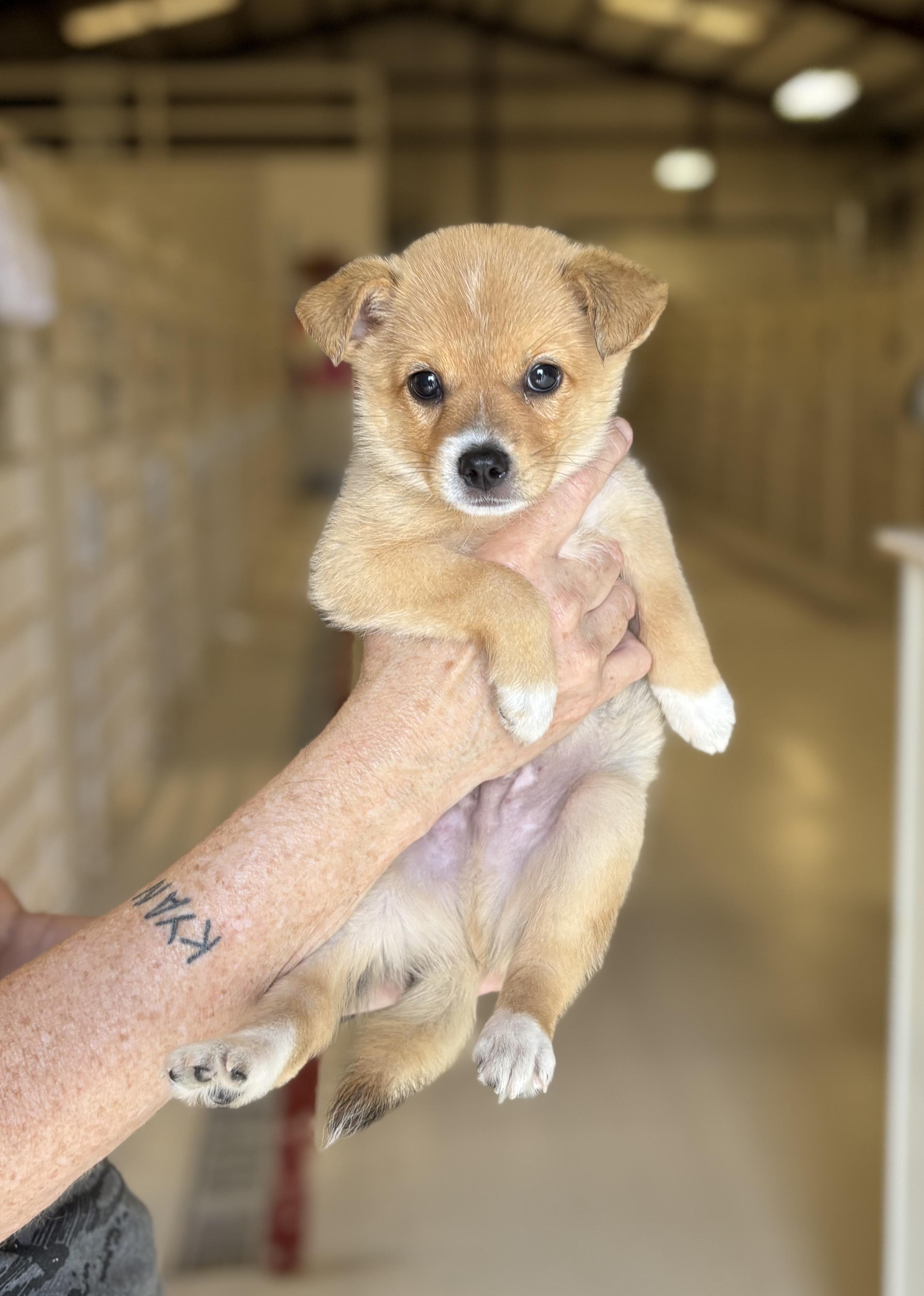 Greg- arriving 7/15!