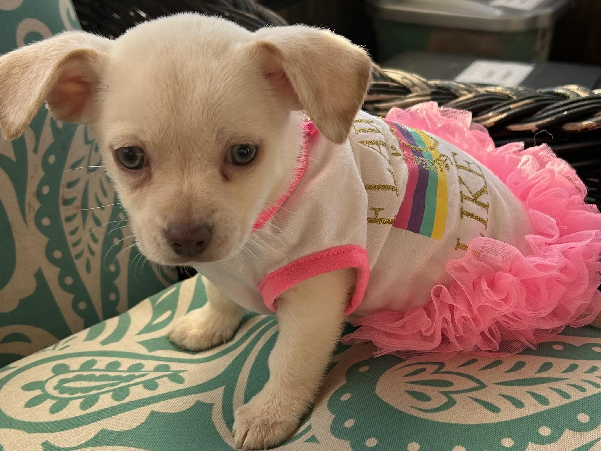 Baby Celine