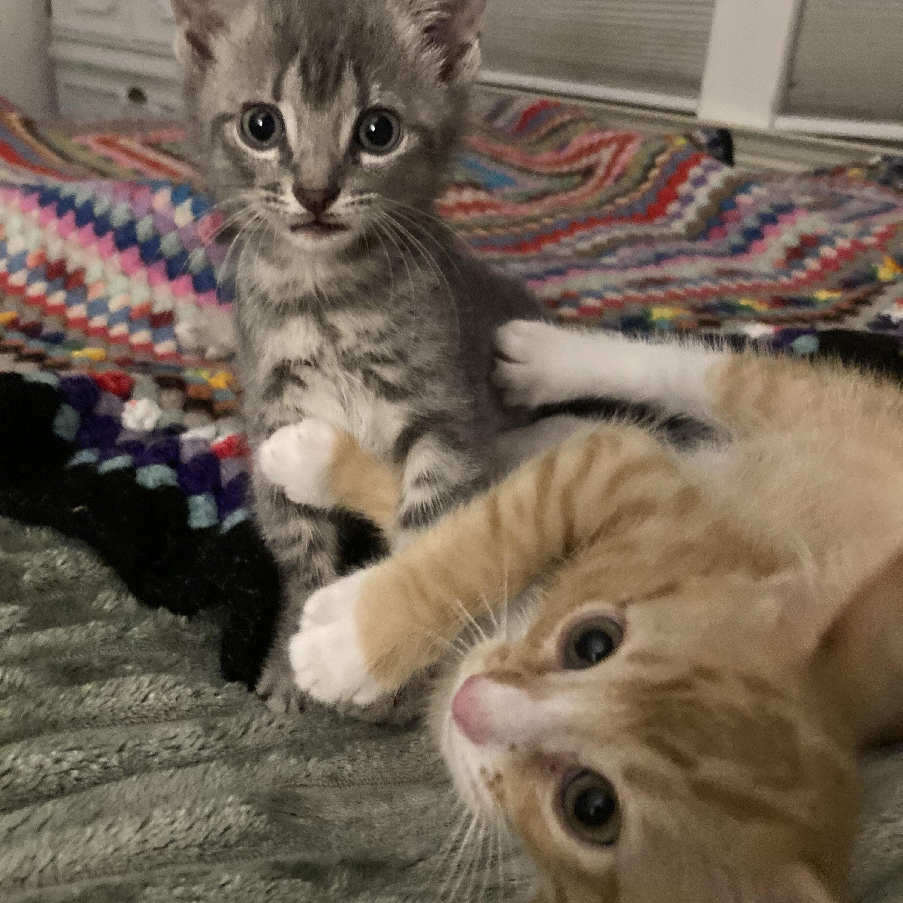 Bobby McGee (bonded to Bo Peep)