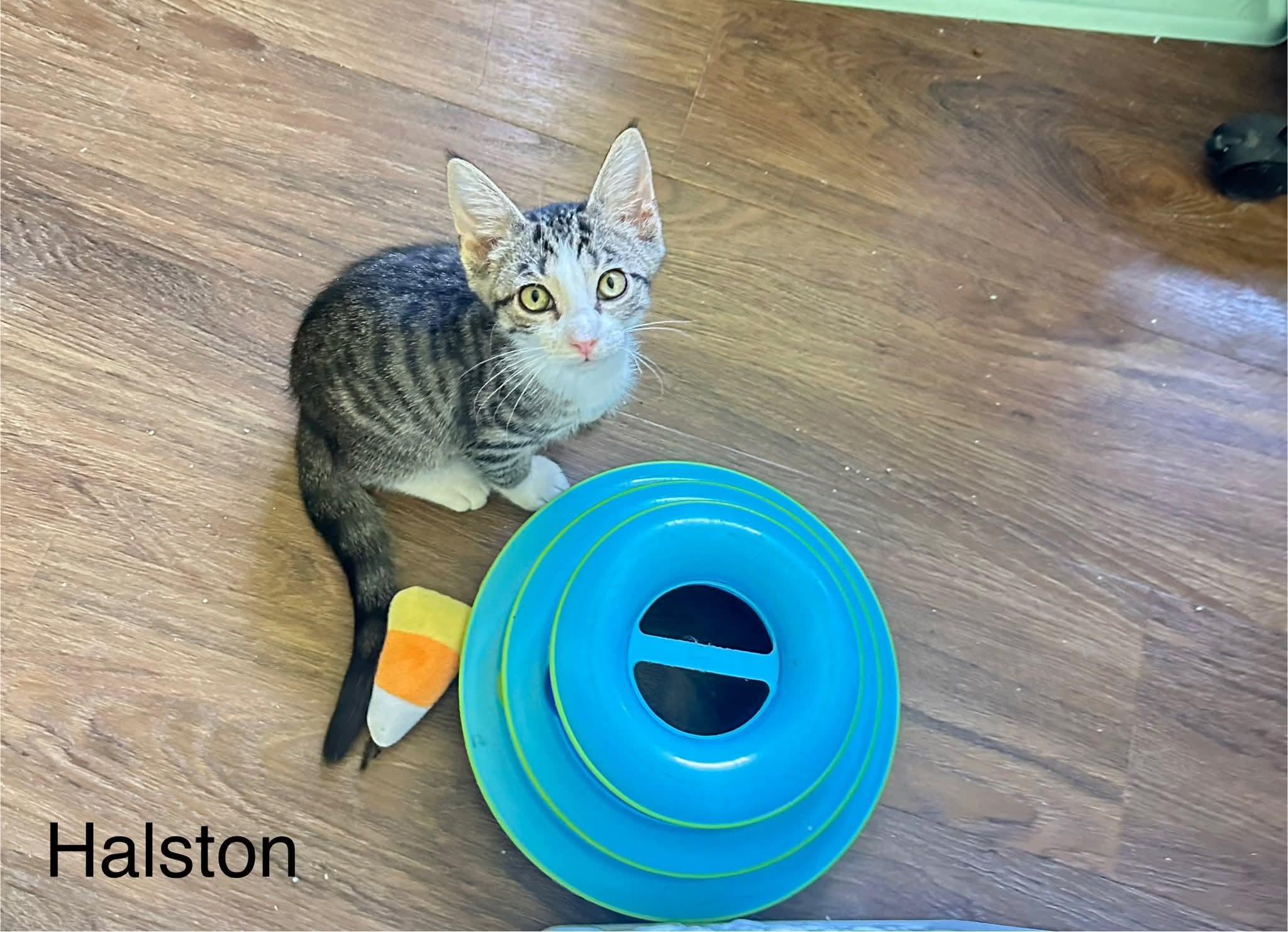 Halston, Baby Male unknown