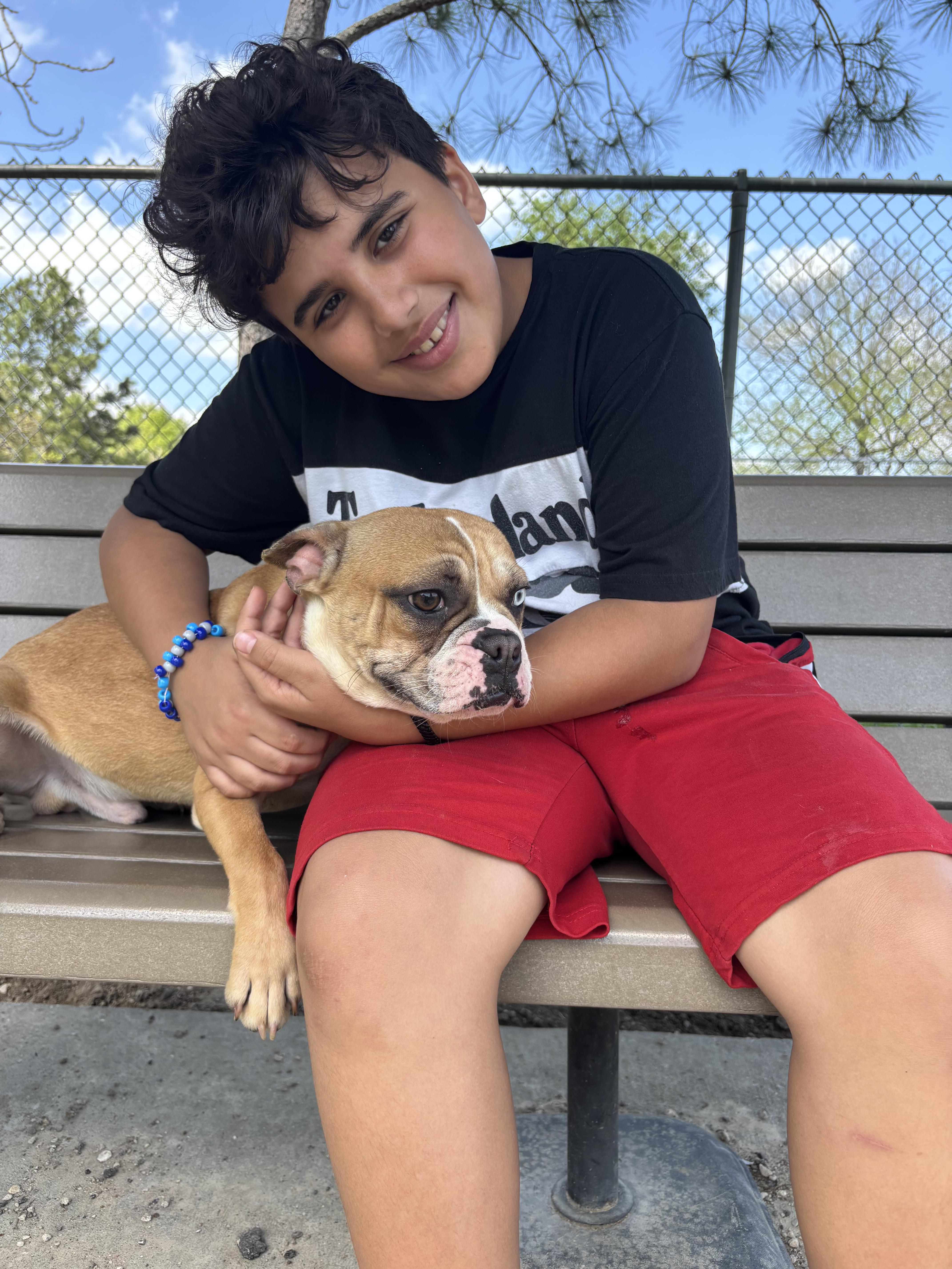 Enlarge Pipo ( 30lbs ,quiet, friendly, house trained, crate trained, super cute ), an adopted mixed breed in Benton Harbor, MI image 2/6