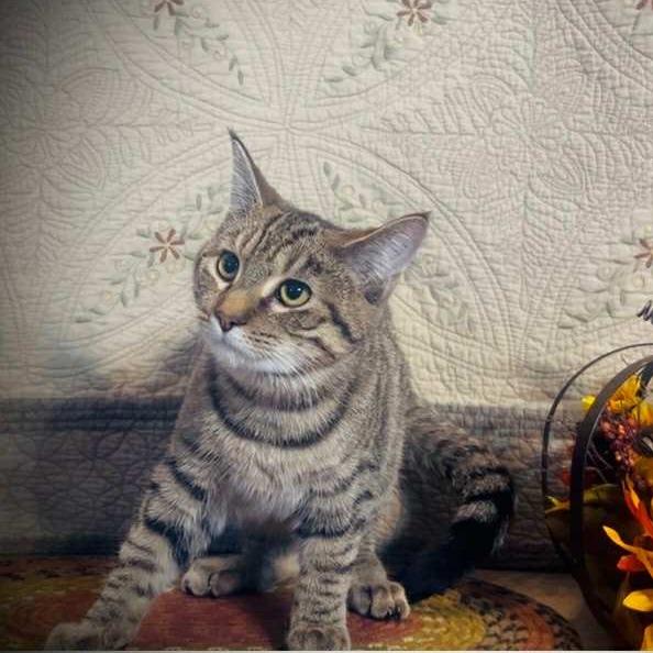 Squiggles — thumbnail 2