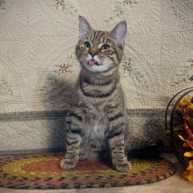 Squiggles — thumbnail 3