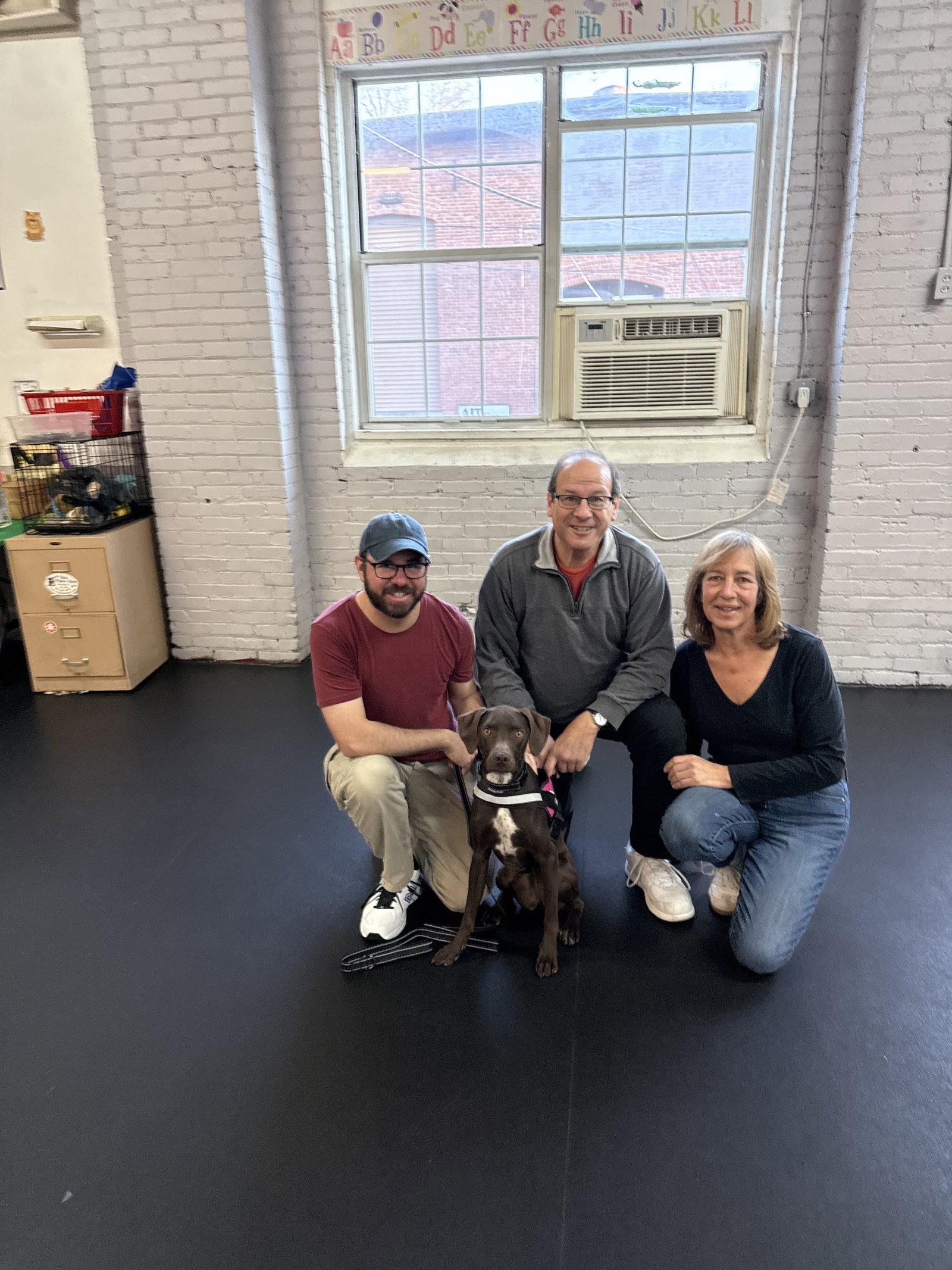 SueAnn's Bailey TX, a Adopted mixed breed in Boonton, NJ image 1/3