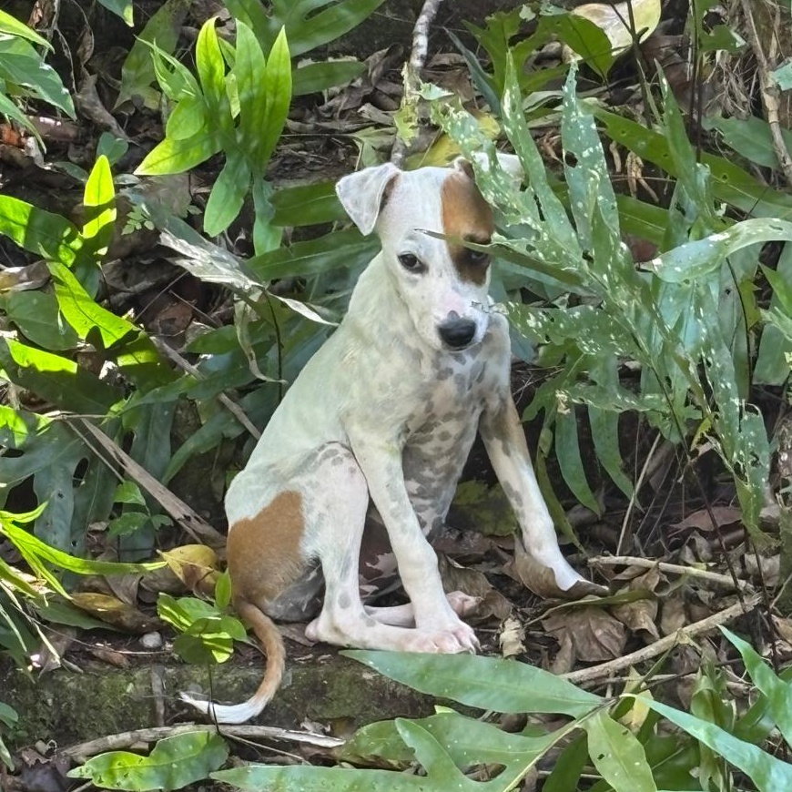 Patch "who Is Your thumbnail 6