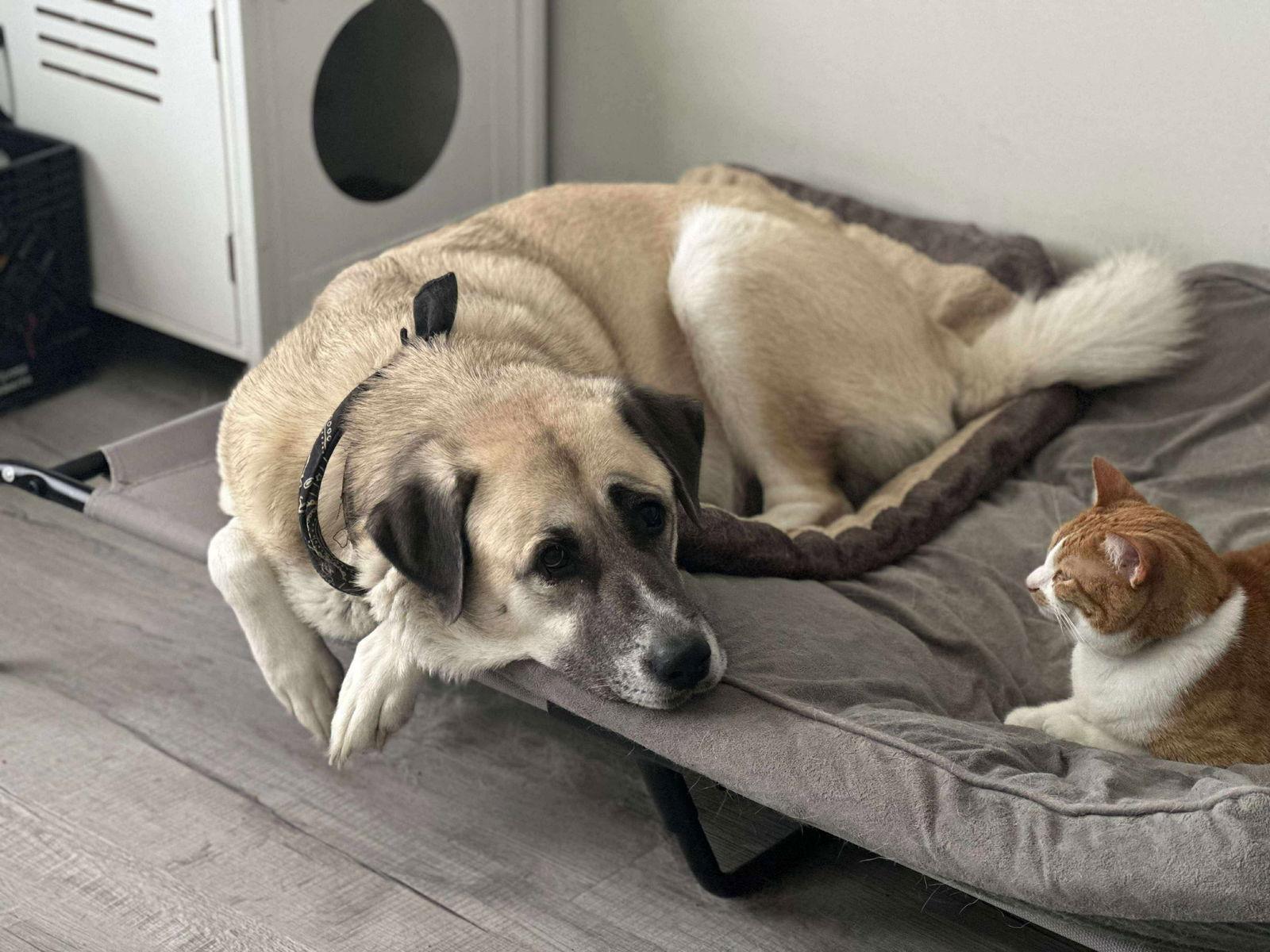 Luna Kate thumbnail 3