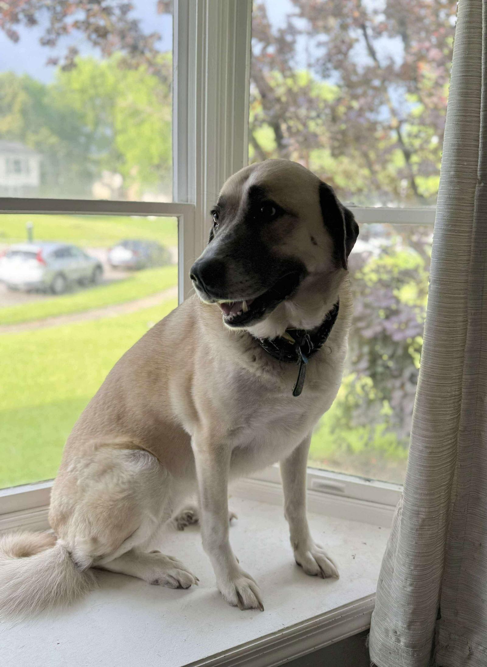 Luna Kate thumbnail 4