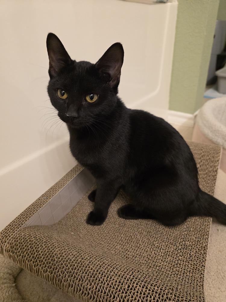 Brickette — thumbnail 2