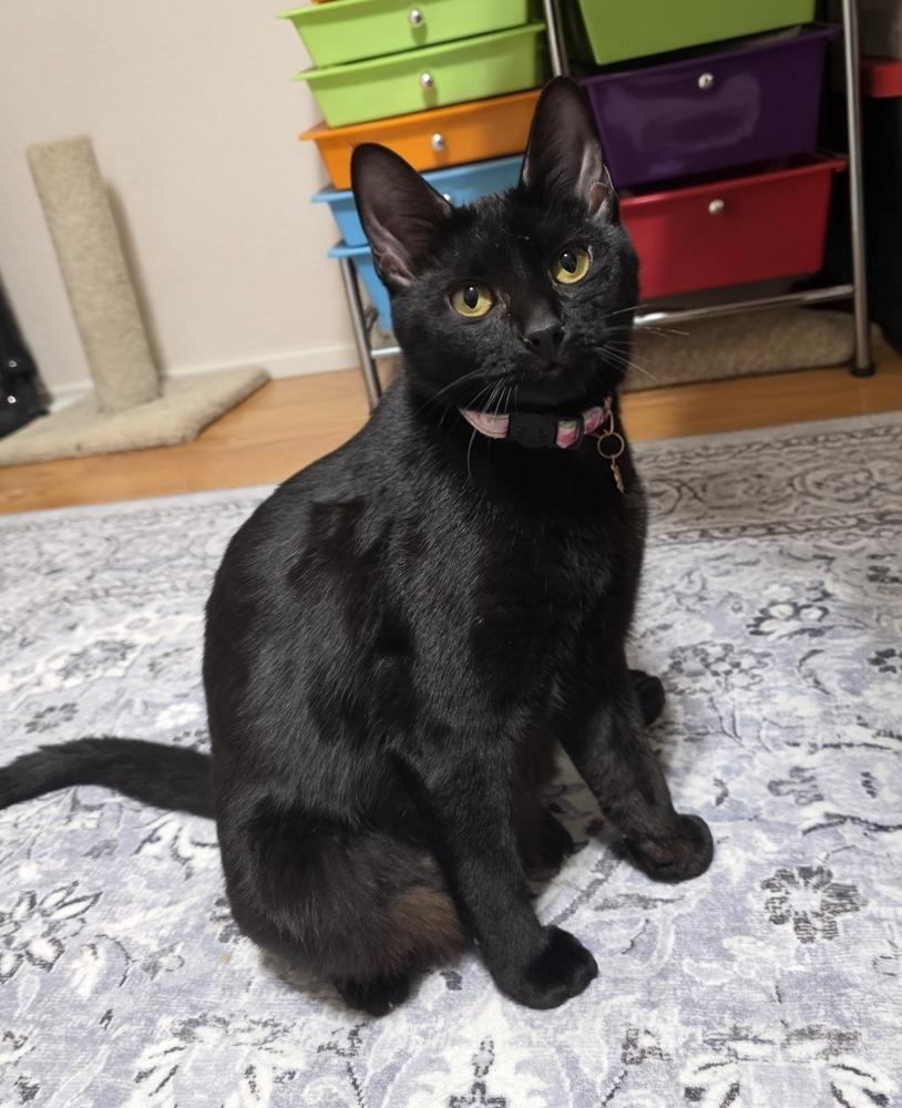 Brickette — thumbnail 3