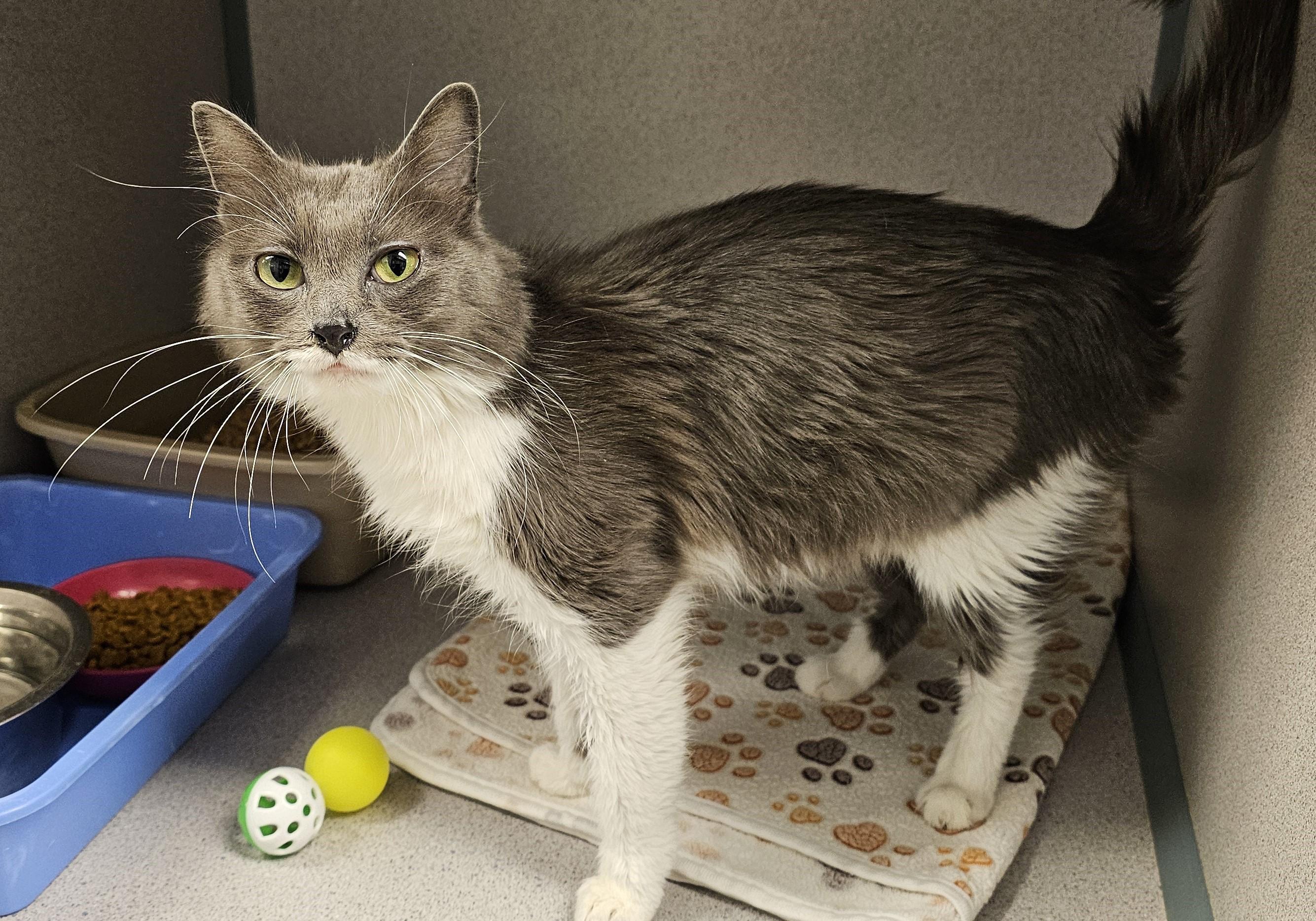 Gabrielle — thumbnail 4