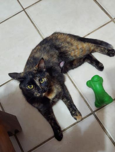 Chabelita photo 6