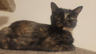 Chabelita photo 4