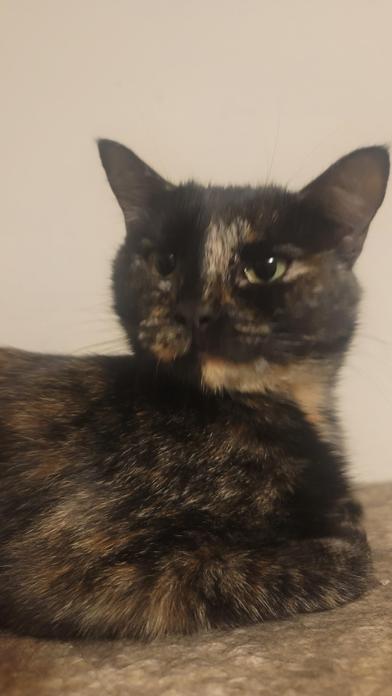 Chabelita photo 3