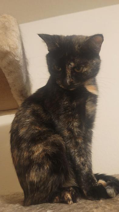Chabelita photo 2