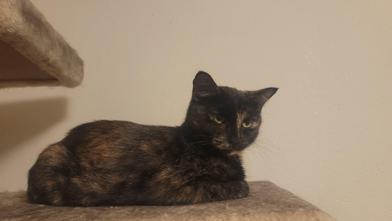 Chabelita photo 5