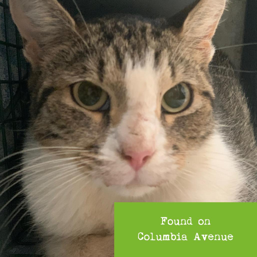 Dolly Parton — thumbnail 4