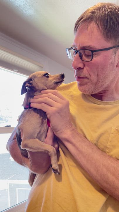 Enlarge Valkyrie, a Adopted mixed breed in Portland, OR video 6/6