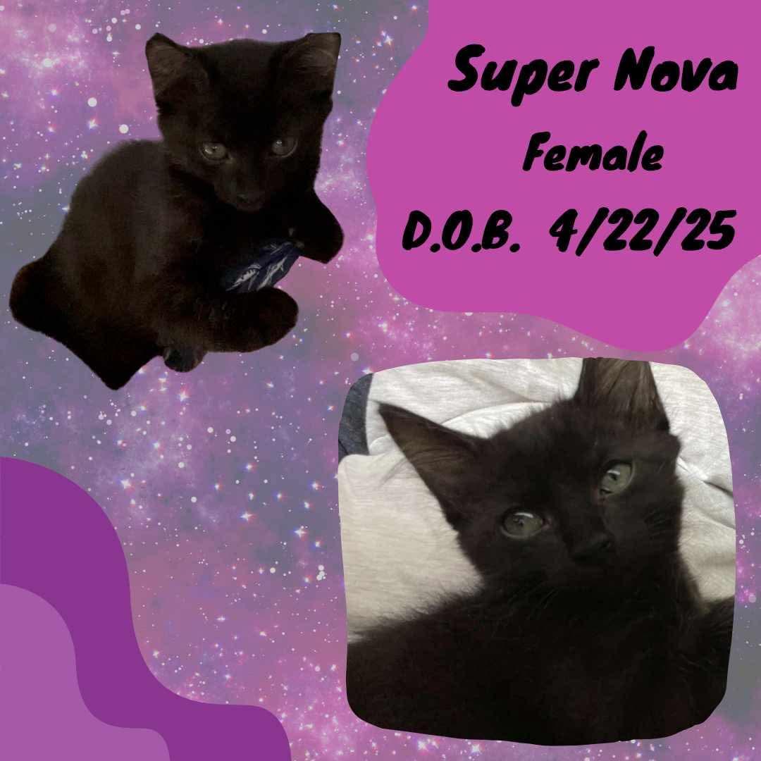 Super Nova