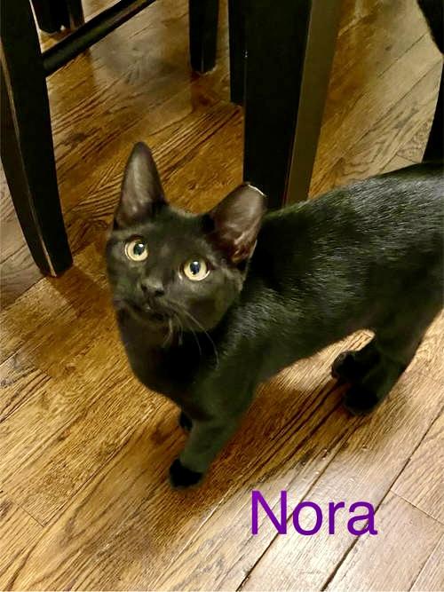 Nora  Willow Grove thumbnail 3