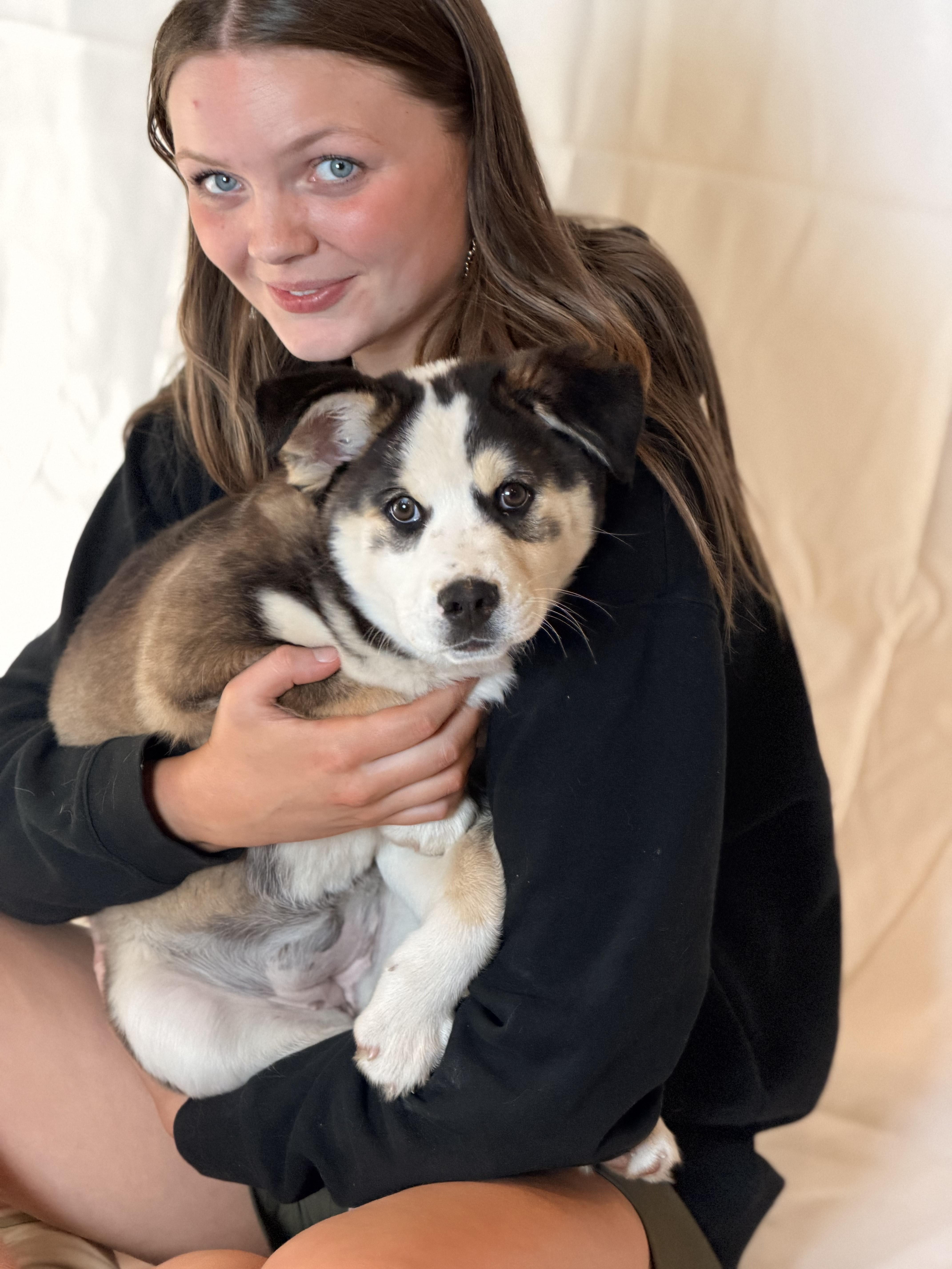 Kierra, an adoptable mixed breed in Sparta, NJ image 3/4