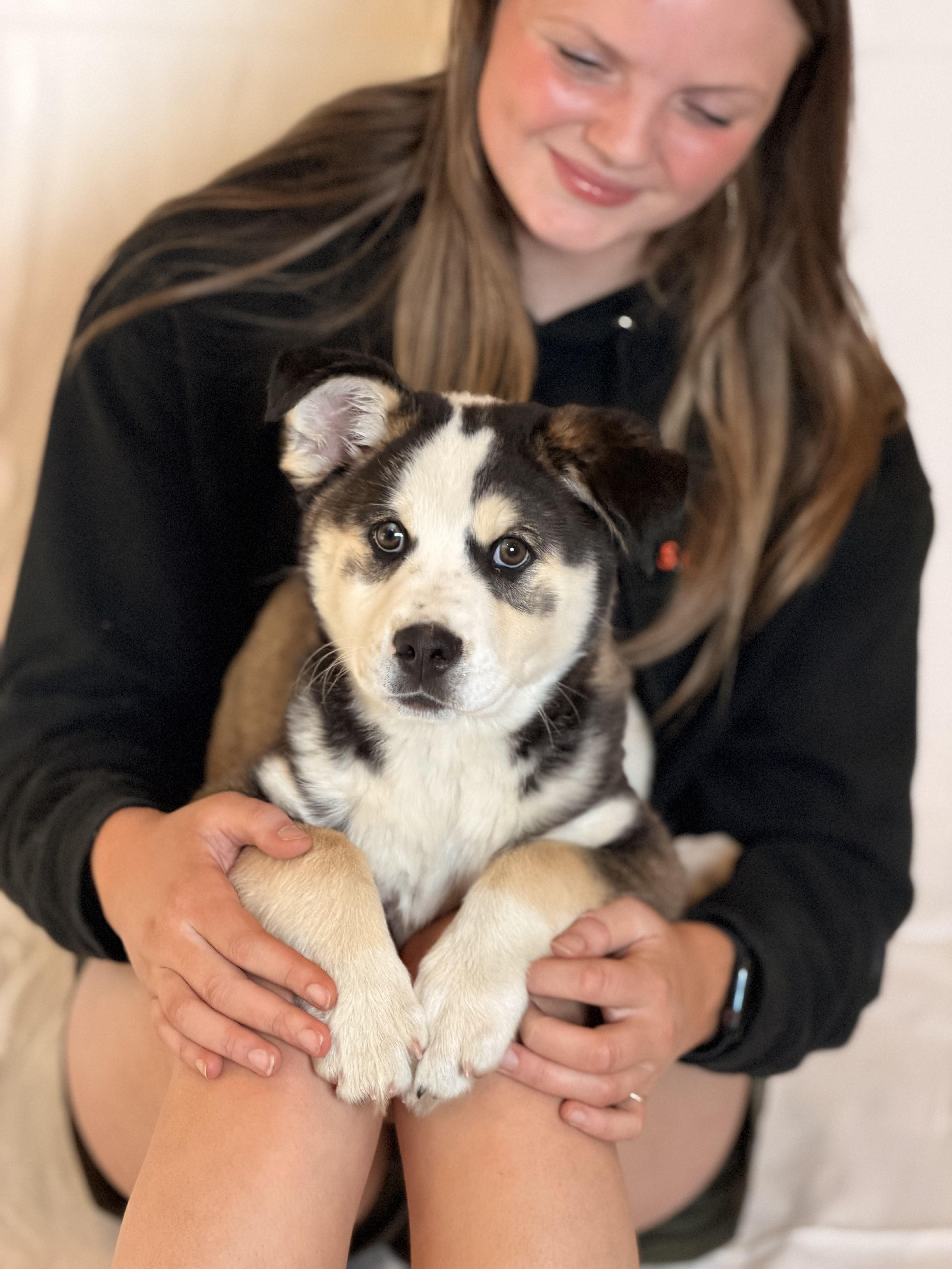 Kierra, an adoptable mixed breed in Sparta, NJ image 2/4