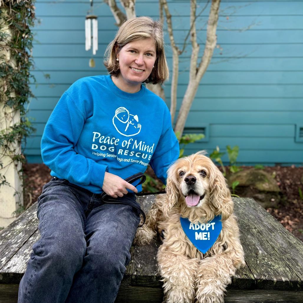 Dash — thumbnail 5