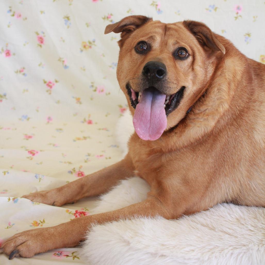 Royalty — thumbnail 4