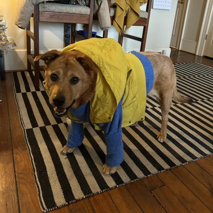 Royalty — thumbnail 5