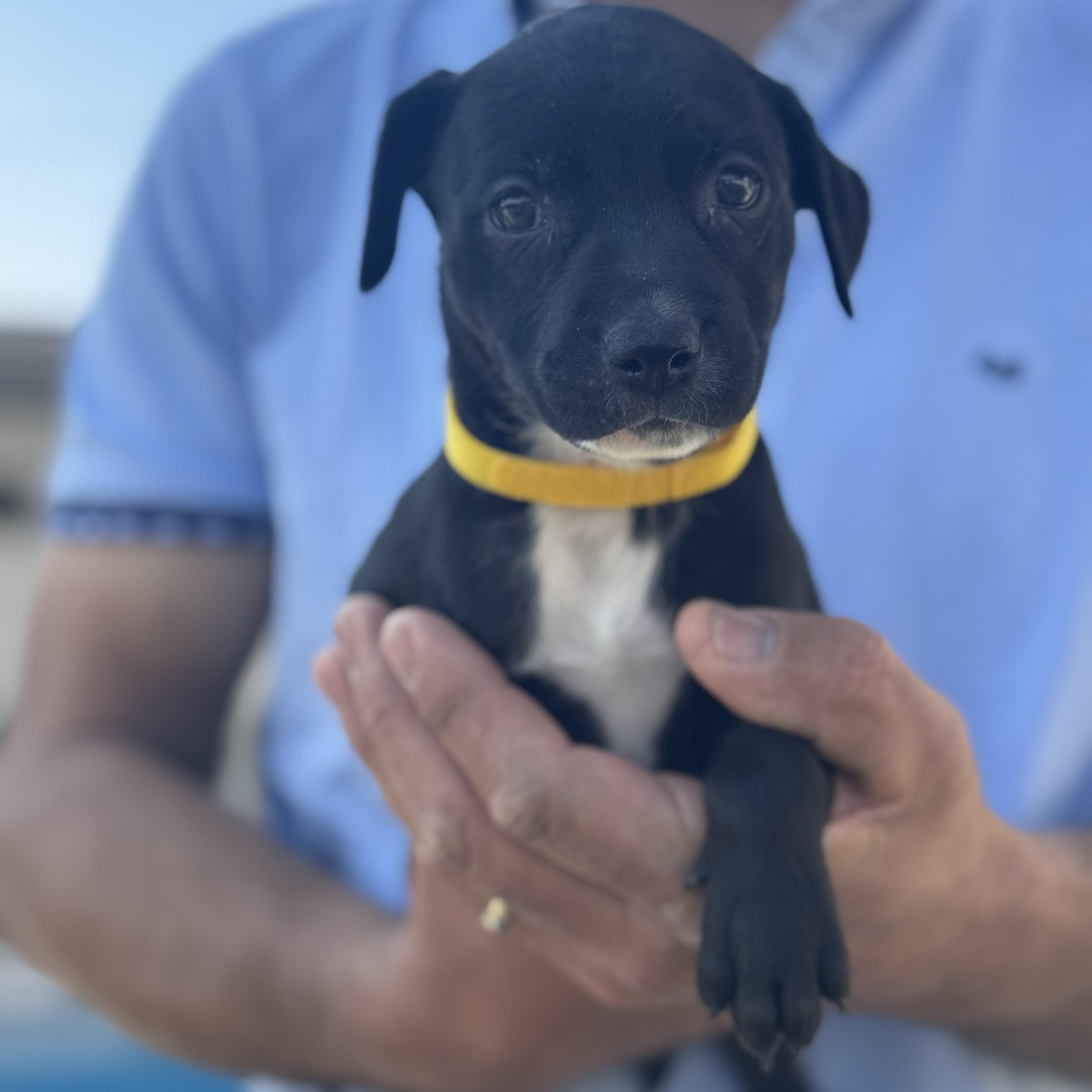 Janice — thumbnail 6