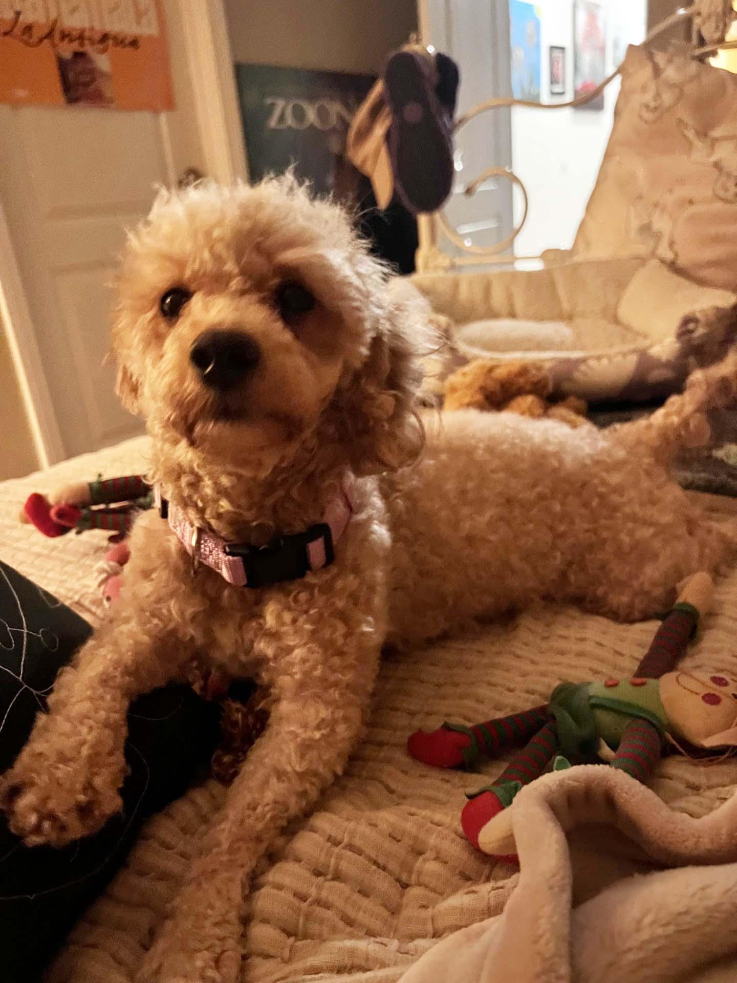 Betty