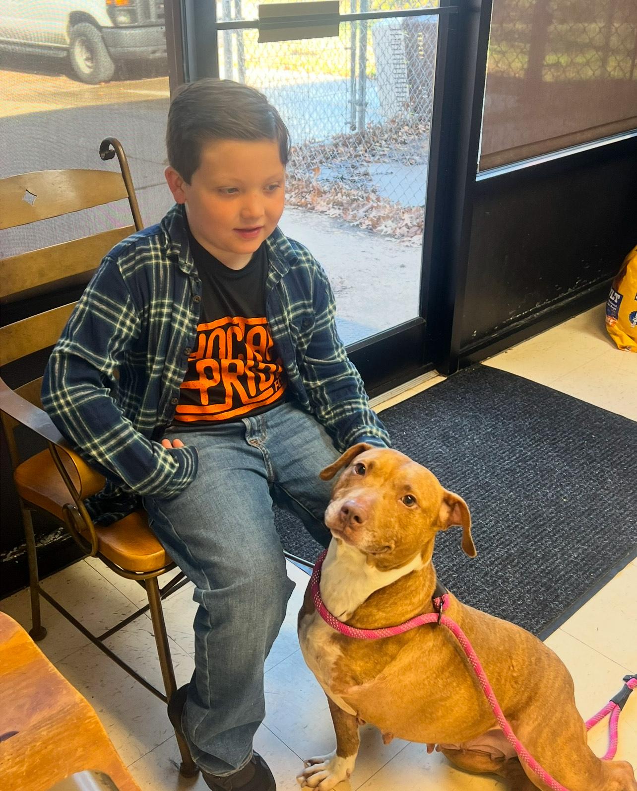 Honey G, a Adoptable Mixed Breed in Dyersburg, TN image 4/5