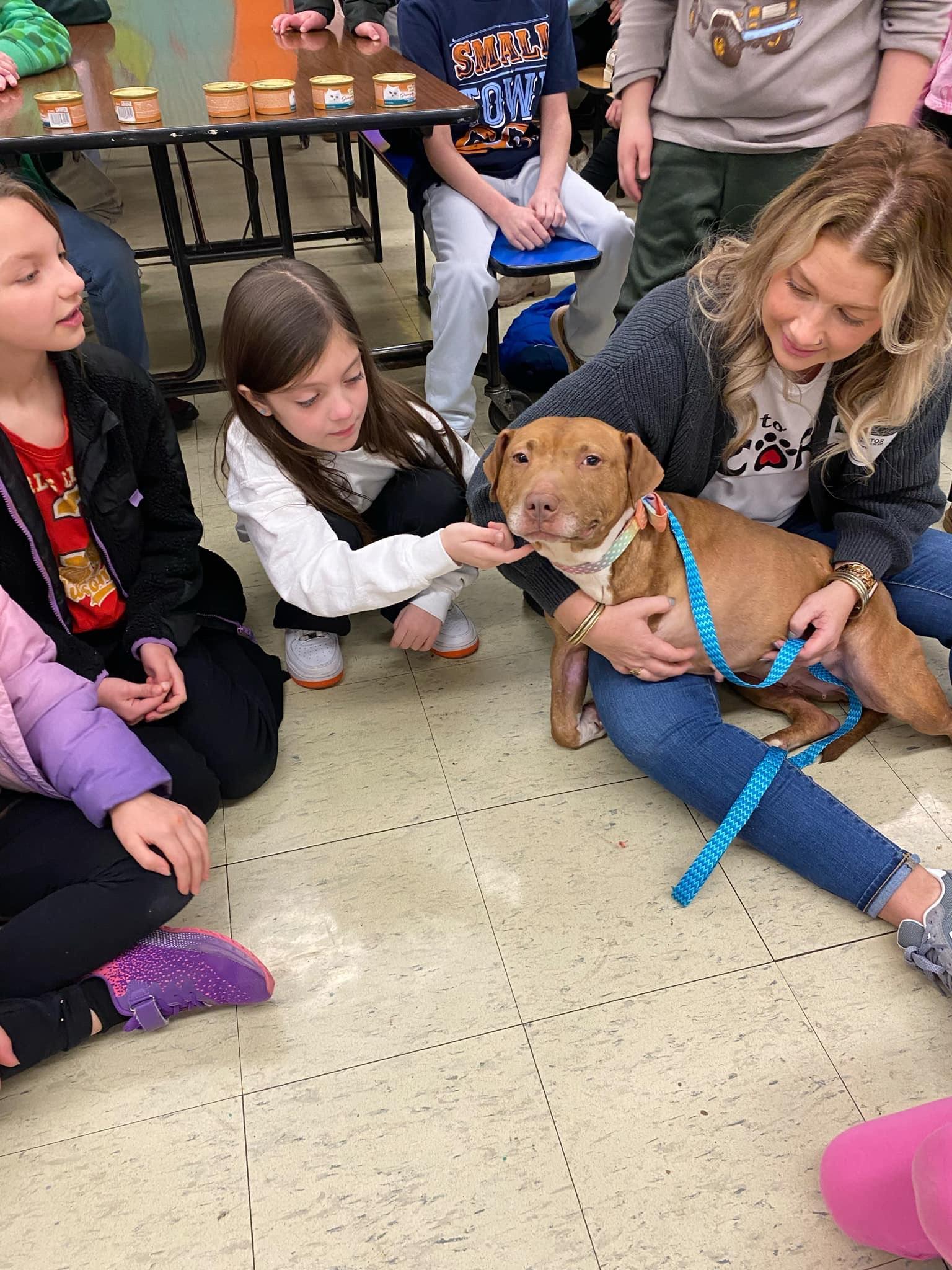 Honey G, a Adoptable Mixed Breed in Dyersburg, TN image 3/5