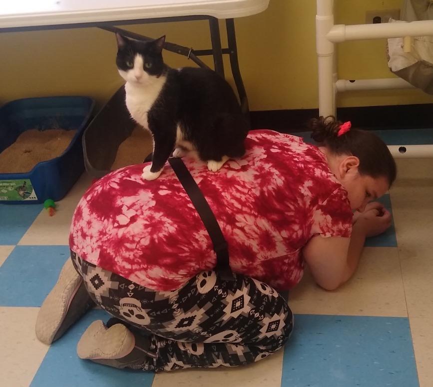 Enlarge ALEXIS, a Adoptable mixed breed in Muskegon, MI image 3/5