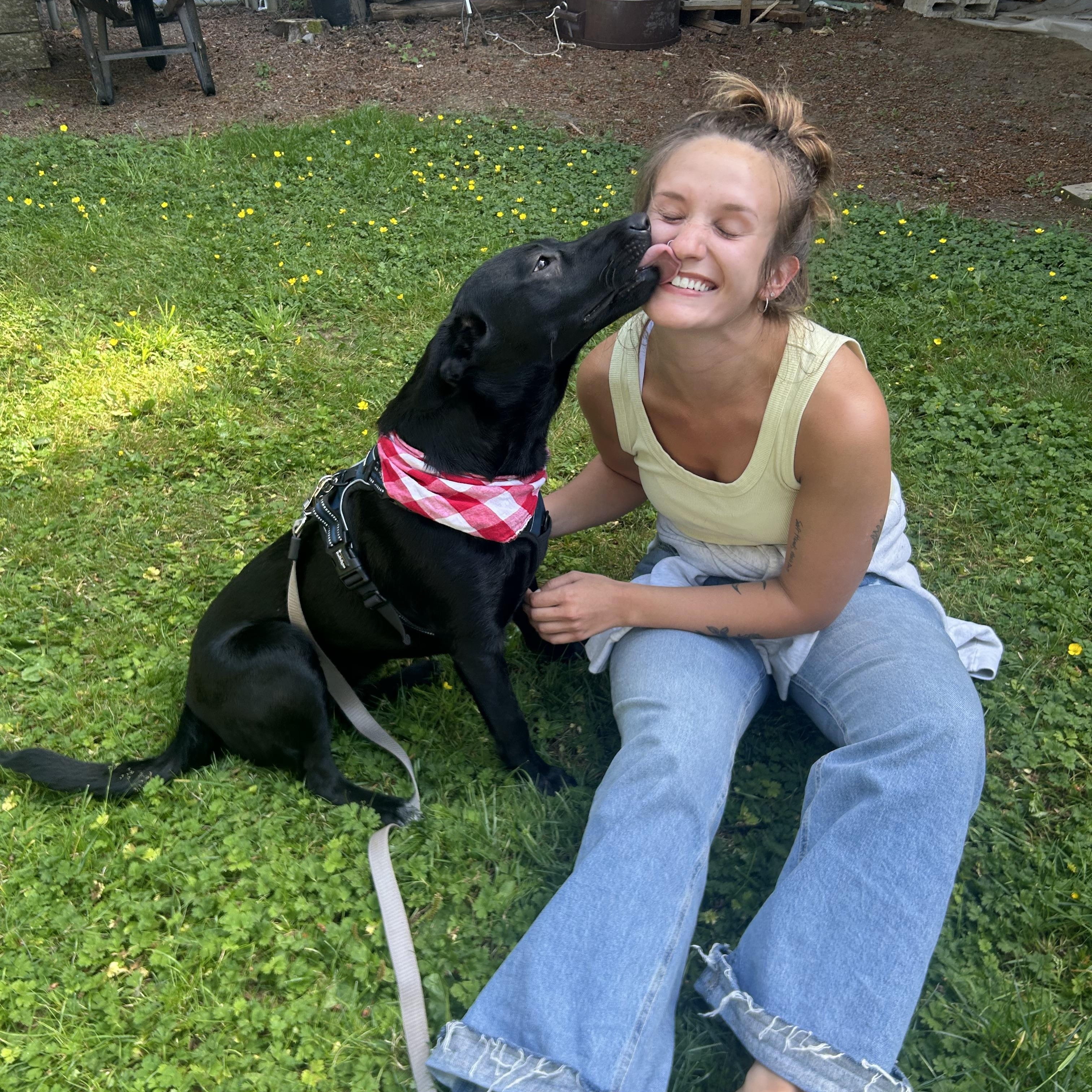 Enlarge Mya, a Adoptable mixed breed in Olympia, WA image 2/6