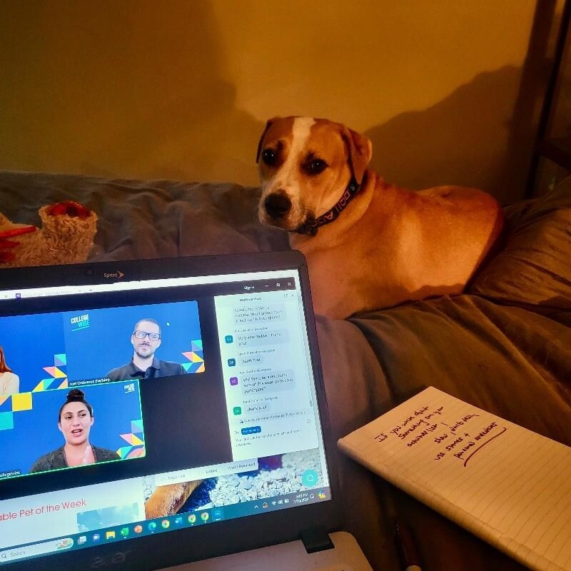 Sandy Avalon The Girl with the Gentlest soul