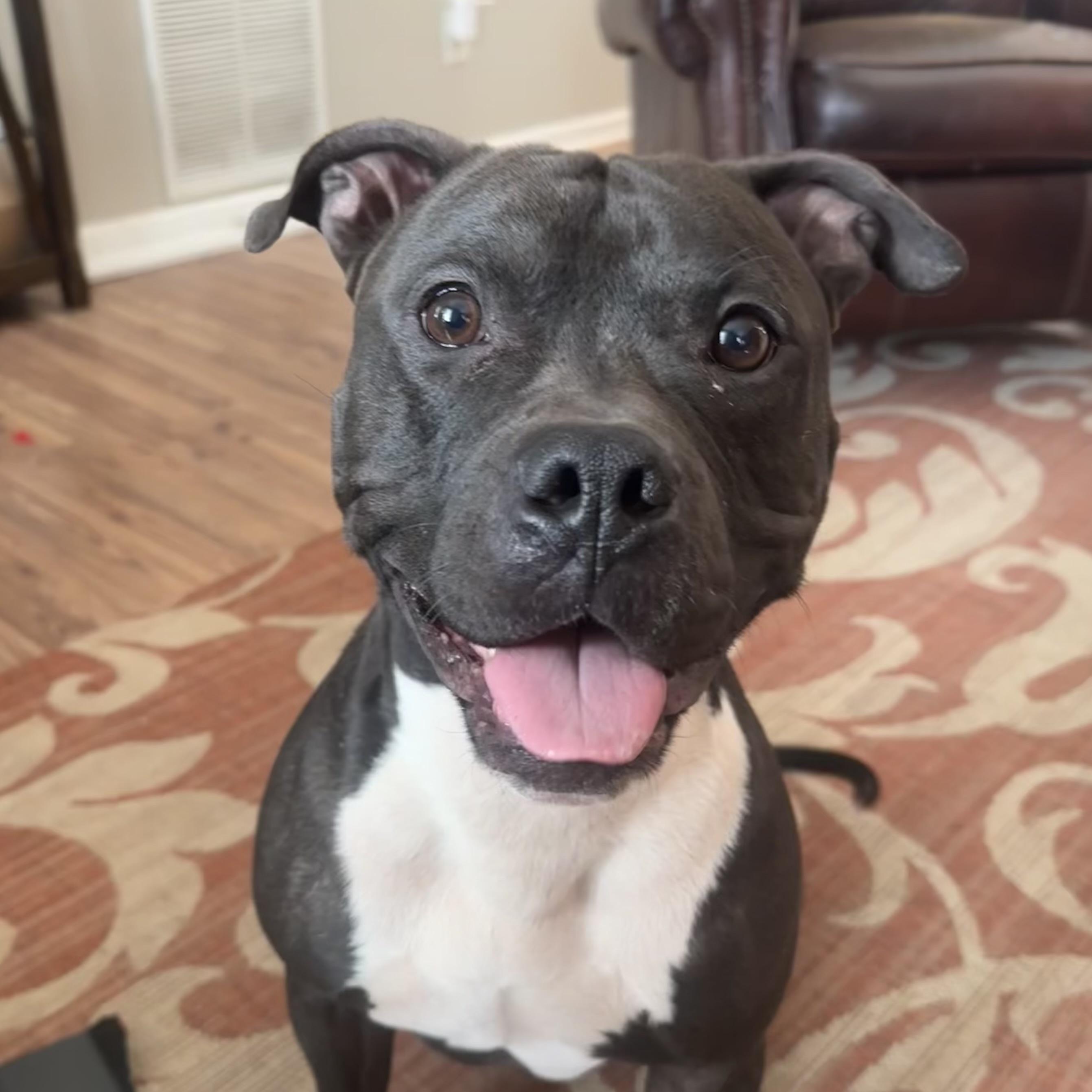 Tug photo