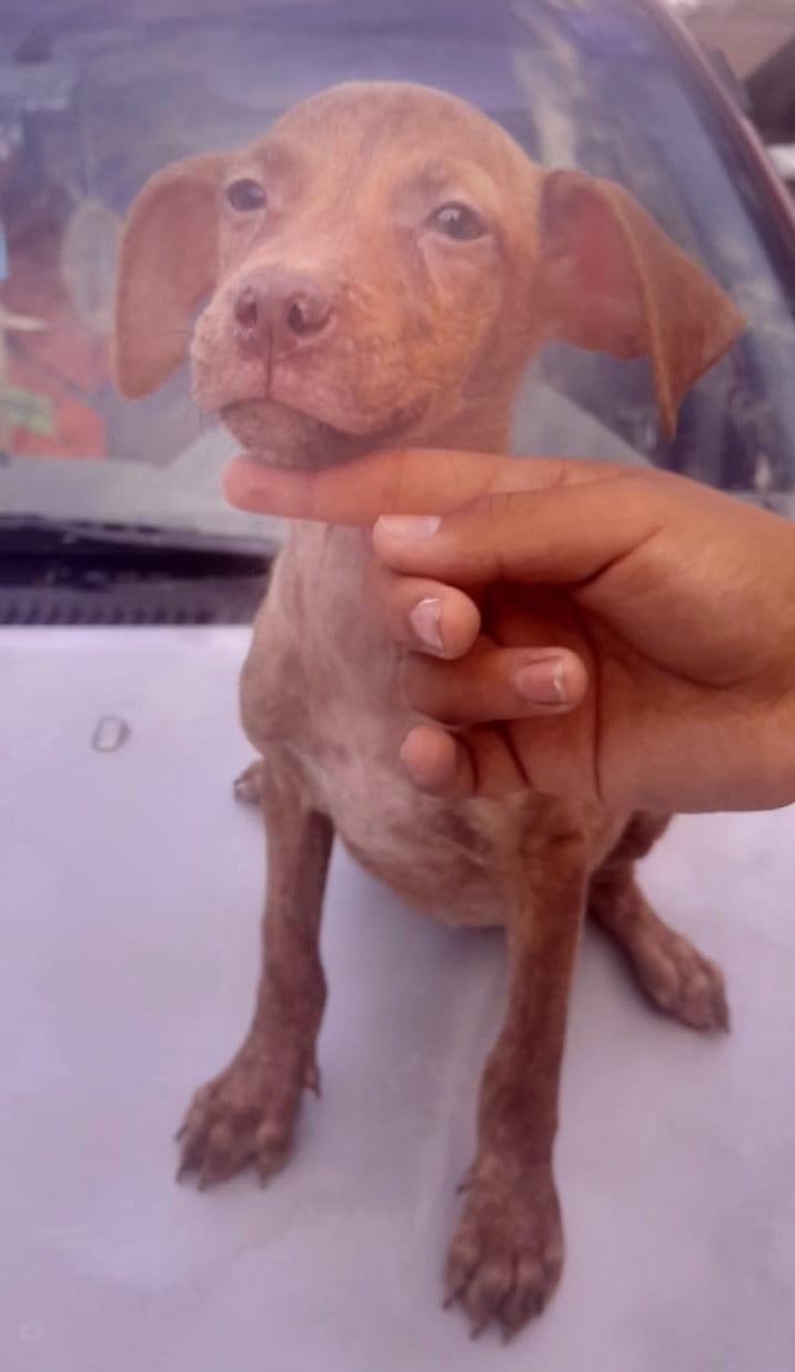 Yara (4) — thumbnail 4