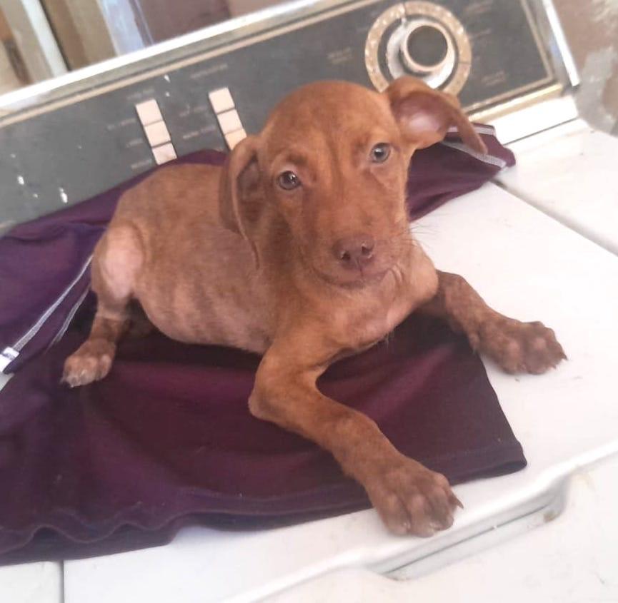 Yara (4) — thumbnail 5