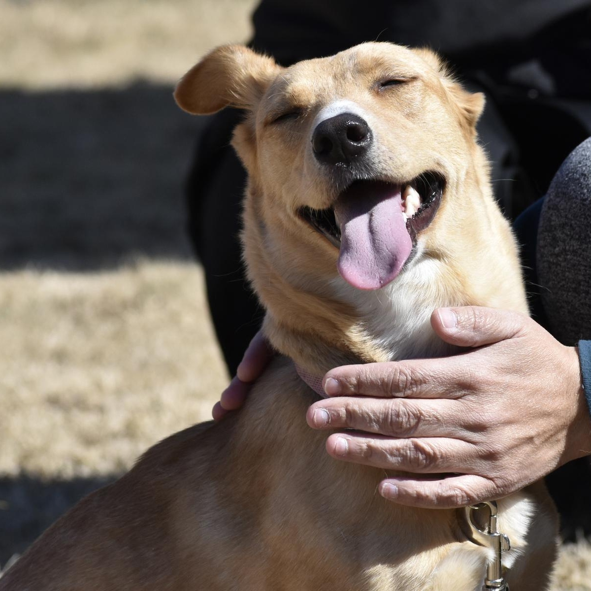 Citrine — thumbnail 3