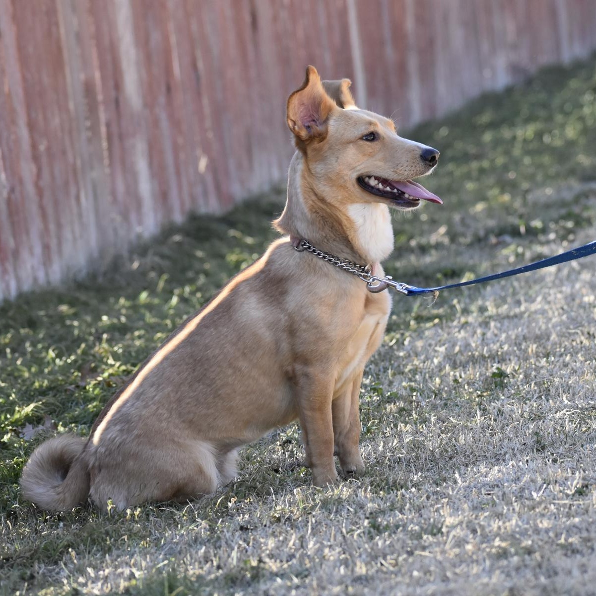 Citrine — thumbnail 5