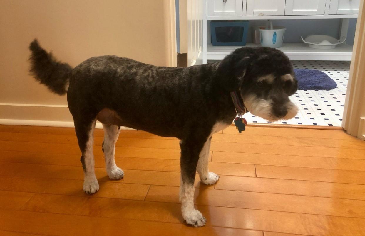 Penny for her thoughts (formerly Posey)