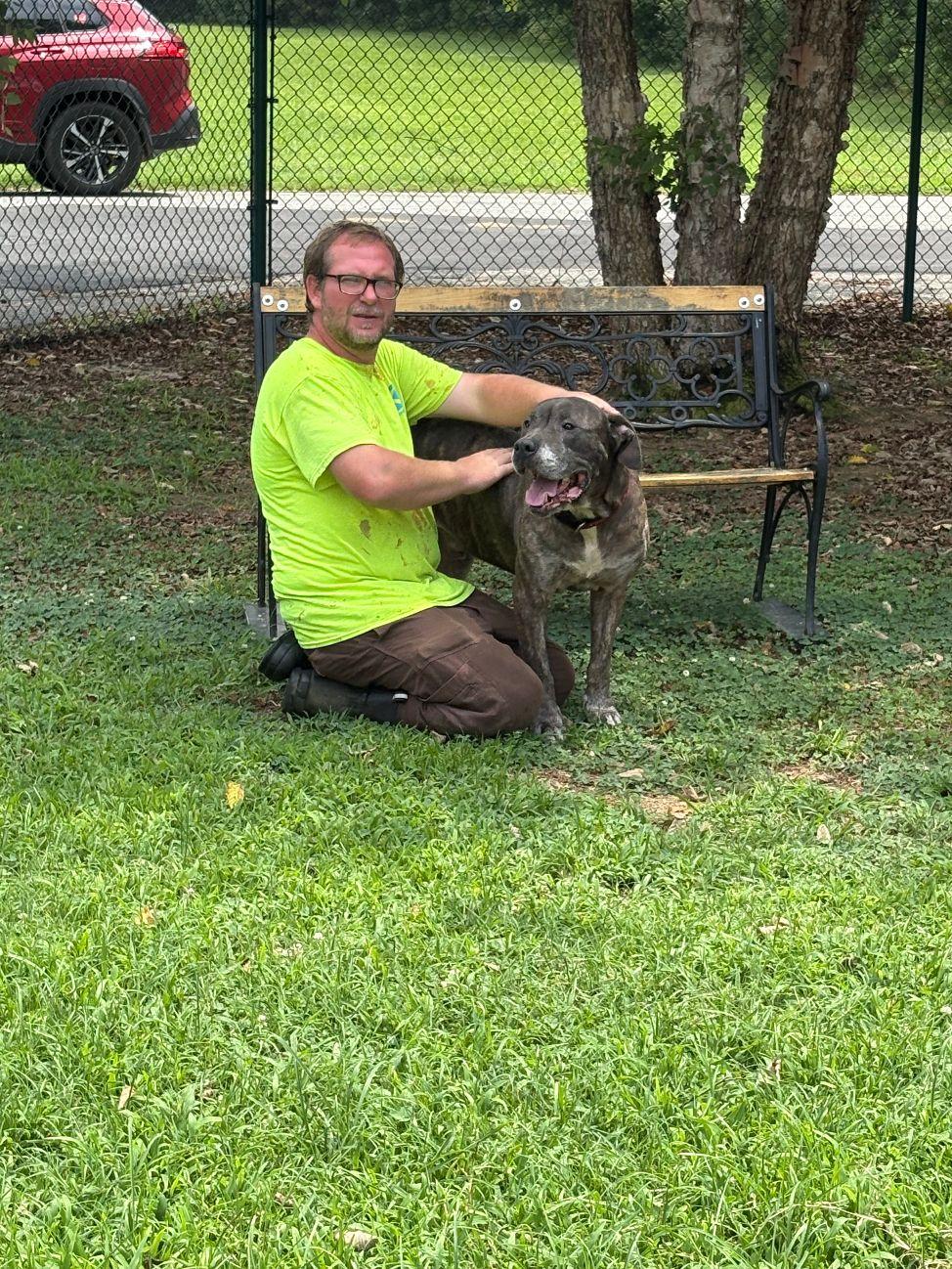 Bobo, an adoptable Bullmastiff in Saluda, VA, 23149 | Photo Image 2
