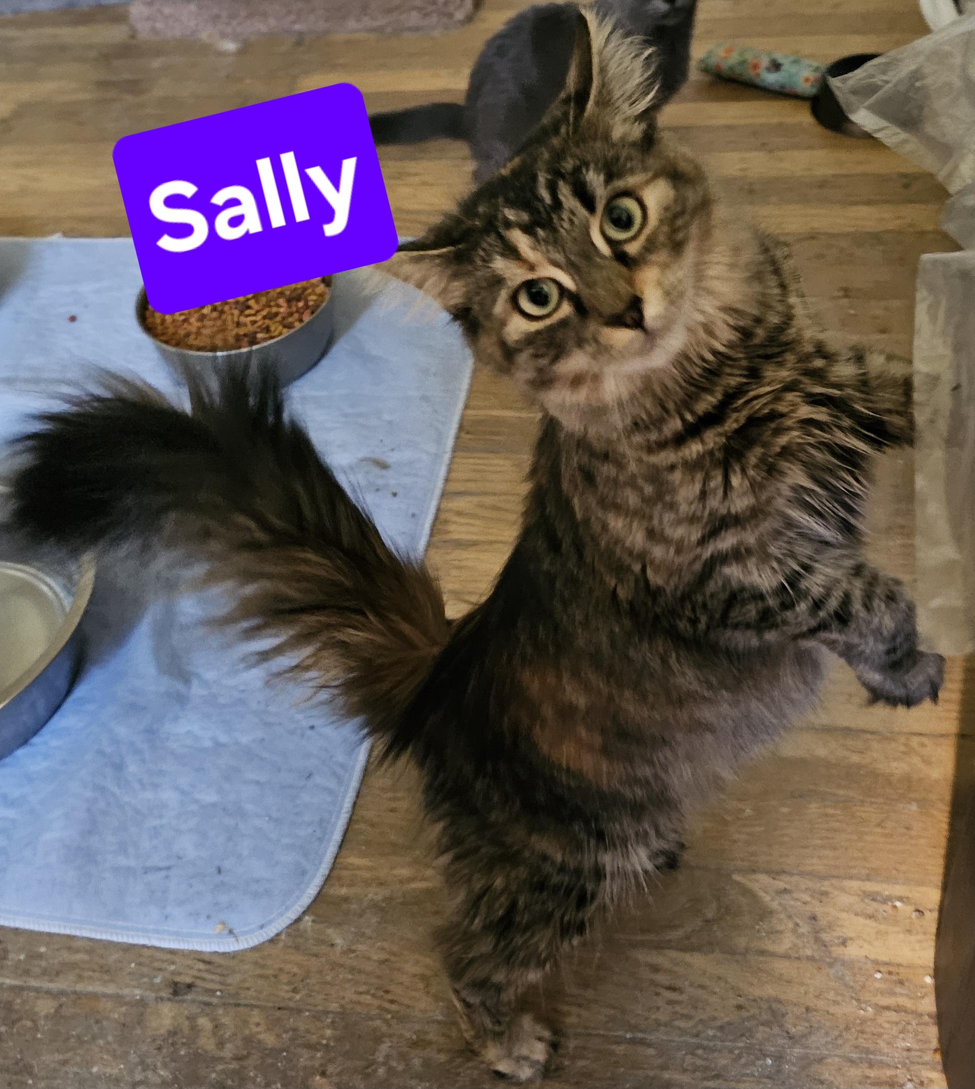Sally