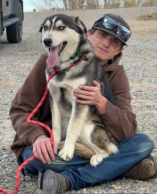 Enlarge Stanley, a Adoptable mixed breed in Riverton, WY image 2/4