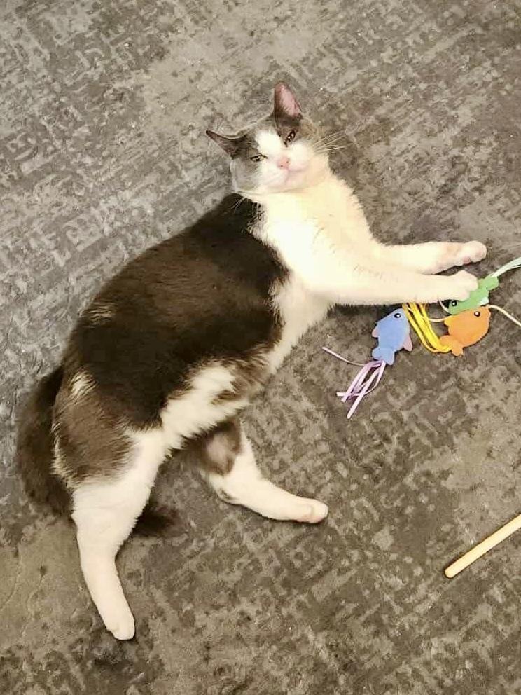 Mercedes — thumbnail 2