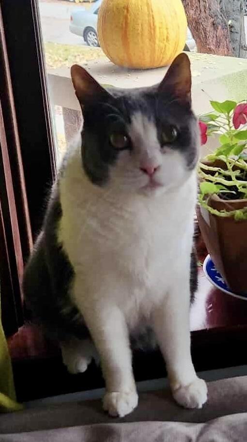 Mercedes — thumbnail 4